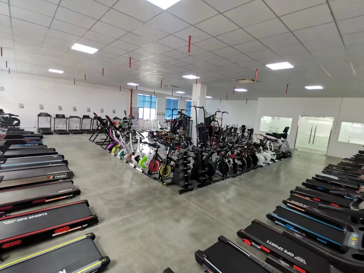 Folding Electric Motorized Treadmill